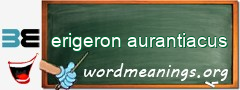 WordMeaning blackboard for erigeron aurantiacus